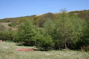 Patroling - Section 3 lying in Ambush