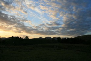 Tank Farm - Dusk