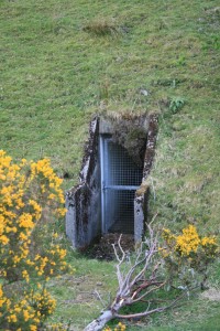 Tank Farm - Entrance to tank